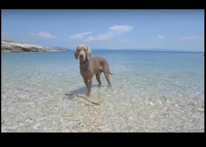 Appartement On With Pool And Sea View