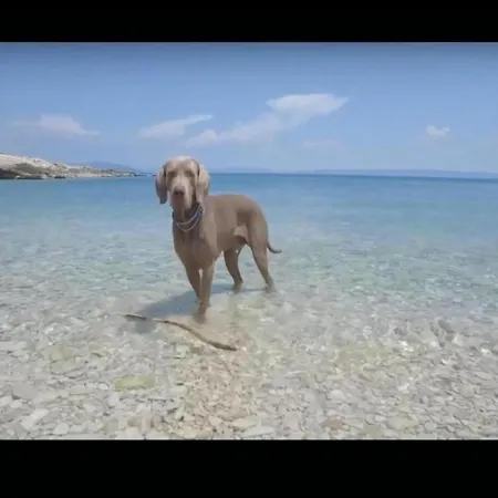 Appartamento On With Pool And Sea View